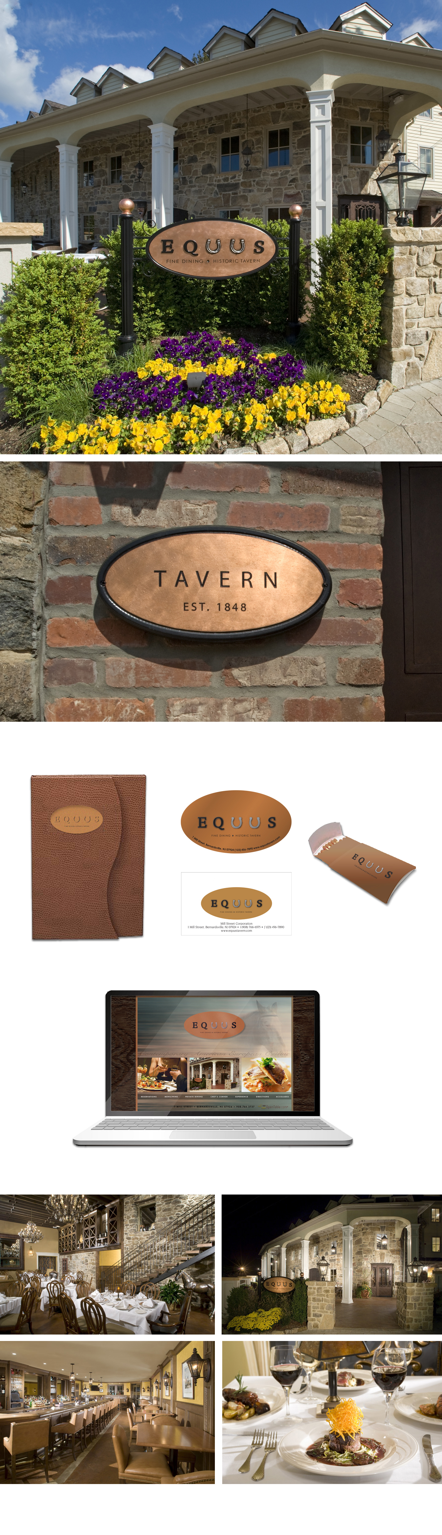 Equus identity project